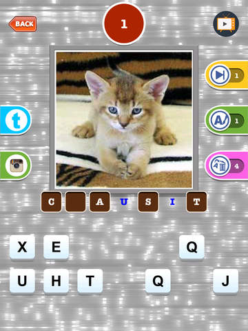 【免費遊戲App】Cute Cat Breed Quiz Games-APP點子