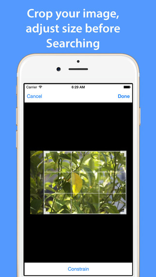 【免費工具App】PicFinder - Reverse Image Search-APP點子