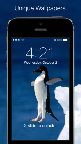 Beautiful Penguin Wallpapers – Cute Penguins Pictures For iphone ipad ipod