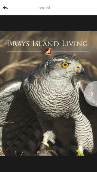 Brays Island Plantation