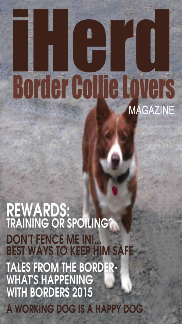 iHerd: Border Collie Lovers Magazine
