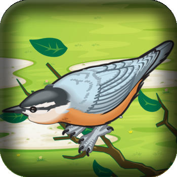 Mad Birds War: Air Domination - Flying and Shooting Game LOGO-APP點子