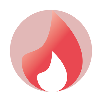 FireSecurityInspections LOGO-APP點子