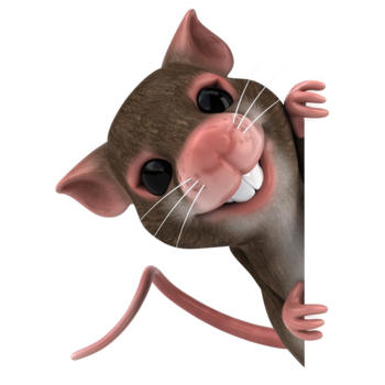 Mouse Race 遊戲 App LOGO-APP開箱王