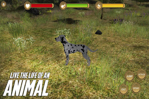 Dalmatian Simulator - HD screenshot 3
