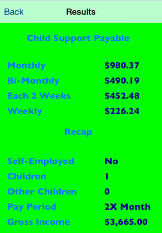 Texas Child Support Calculator 2015 screenshot 4