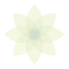 no app image