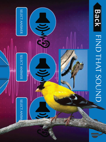 Gobirds Bird Game Edition screenshot 2