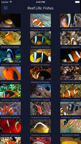 免費下載書籍APP|Fishes, by Reef Life app開箱文|APP開箱王