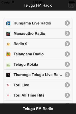Telugu FM Radio screenshot 3