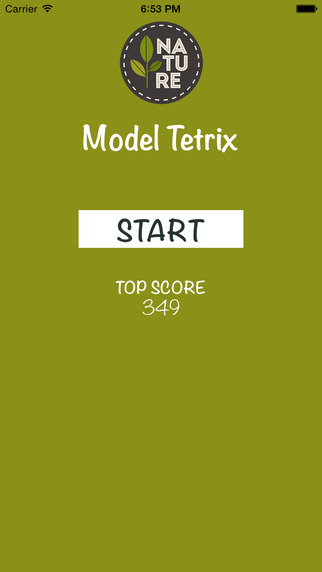 Model Tetrix