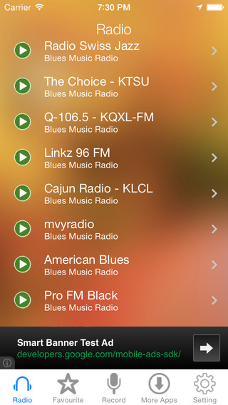 Blues Music Radio Recorder