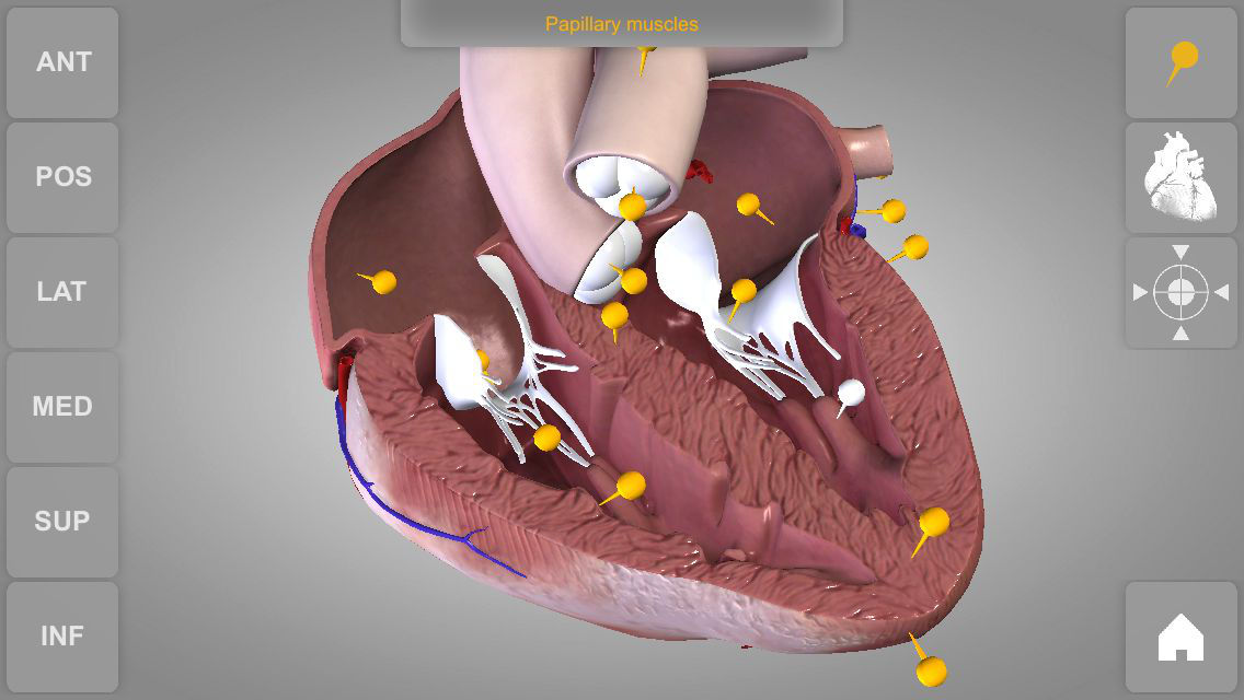 3D Tooth Atlas 7 Free Download