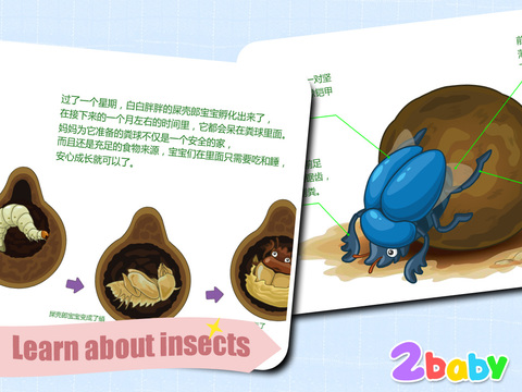 【免費遊戲App】Dung beetle - InsectWorld  A story book about insects for children-APP點子