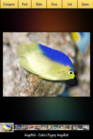 Fish Expert Pro screenshot 3