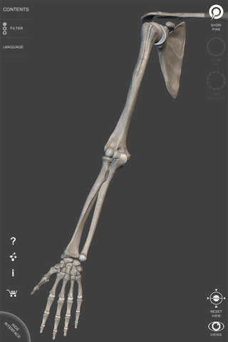 Skeletal System - 3D Atlas of Anatomy - Bones of the human skeleton screenshot 3