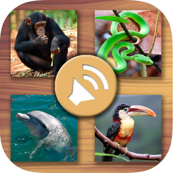 Animals’ sounds for kids – Jungle, farm, marine animals and pets LOGO-APP點子