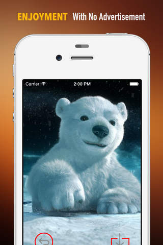 Polar Bear Wallpapers HD: Quotes Backgrounds with Art Pictures screenshot 2