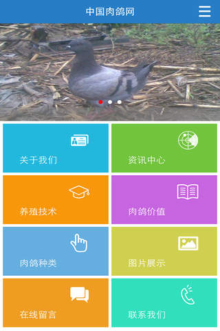 中国肉鸽网 screenshot 2