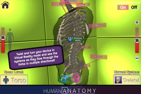 PlayAR Human Anatomy Chart 4D screenshot 3