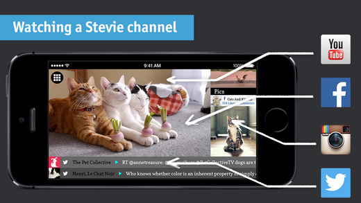 【免費社交App】Stevie for Chromecast and AppleTV - Watch Facebook and Twitter on TV-APP點子