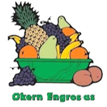 OkernEngros LOGO-APP點子