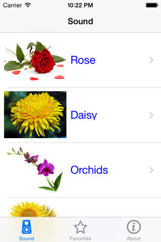 Free Flower Name In 13 Languages from Normandy Flower Online screenshot 3