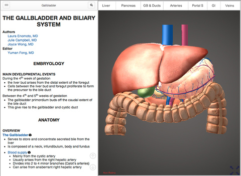 Gallbladder screenshot 2