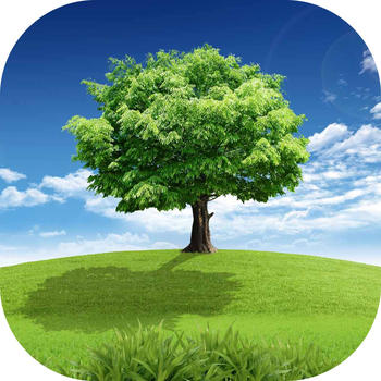 Tree Wallpaper 娛樂 App LOGO-APP開箱王