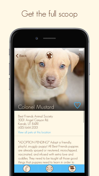 【免費生活App】coMpanion - Pet Finder and Adoption Assistant-APP點子