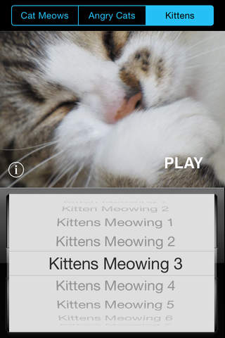Kitty Sounds - Soundboard for Cat & Kitten Meows, Purrs, Hisses and more screenshot 2