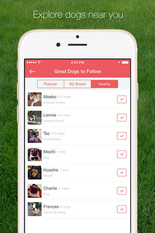 Wagtail - mobile community for dog lovers screenshot 2