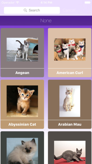 Encyclopaedia of Kittens by Breed - with Cute Pics