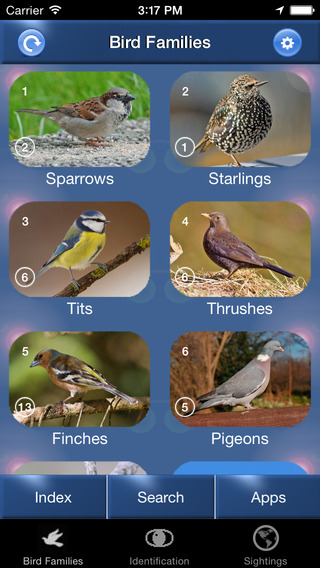 Bird Id - British Isles Identification Guide including all RSPB BGB bird watching survey birds