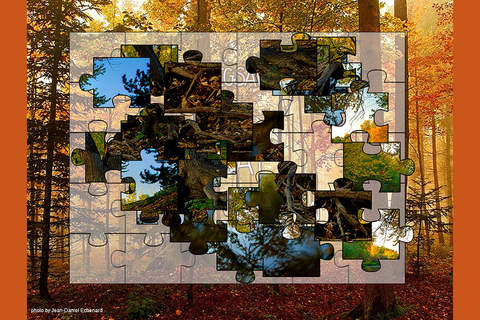 Fall - jigsaw puzzle screenshot 2