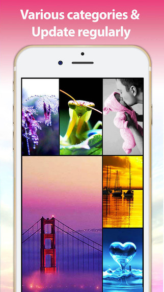 【免費娛樂App】Wallpapers & Backgrounds - Cute Themes HD & Lock Screen Maker Free-APP點子