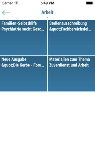 GP: Gemeindepsychiatrie.info screenshot 2