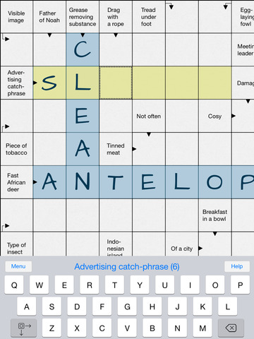 iPad Screenshot 3