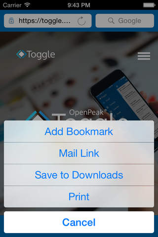 OpenPeak Toggle Web screenshot 2