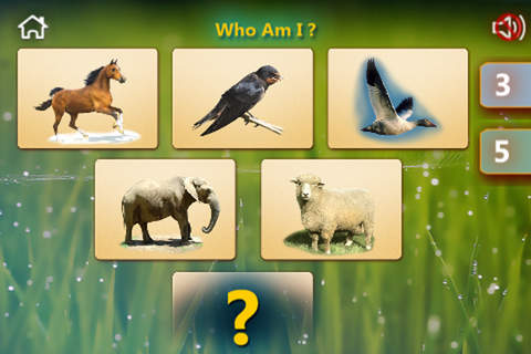Animal Worlds screenshot 3