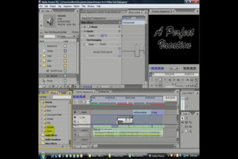 Easy Training for Premiere Pro CS3 screenshot 4