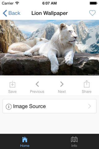 Lion Wallpaper screenshot 3
