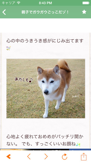 【免費新聞App】日刊いぬ新聞 - Dog Blog Reader for Japanese Dogs Lover-APP點子