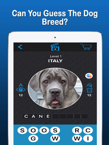 免費下載遊戲APP|Ultimate Trivia - Guess The Dog Breed app開箱文|APP開箱王