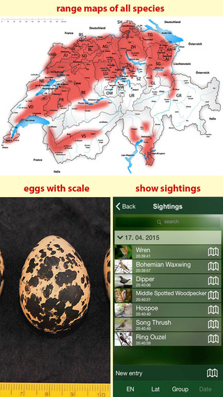 【免費書籍App】All birds Switzerland - a complete field guide to all the birds ever recorded in Switzerland-APP點子