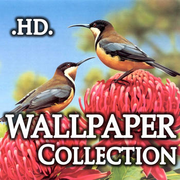 Awesome Art Wallpapers LOGO-APP點子