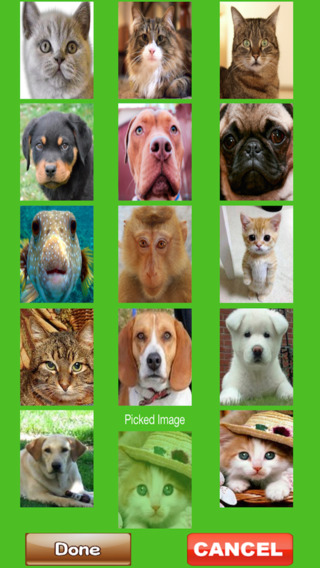 【免費娛樂App】Make My Pet Talk Free-APP點子