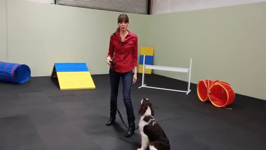 【免費教育App】Puppy Training-APP點子