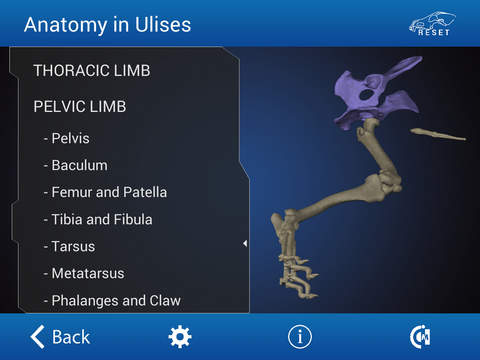 【免費醫療App】Osteology in Dogs (Licensed Version)-APP點子