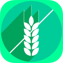 Grain or No Grain - Gluten-Free Foods Quiz & Allergy Information App for Celiac Disease, Gluten Sensitivity and Gluten Intolerance mobile app icon